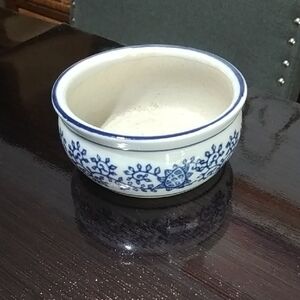 Source Unknown Blue and White Ceramic  Bonsai/ Succulant Planter Dish
